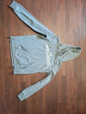 Hollister Heather Gray Logo Hooded Sweatshirt